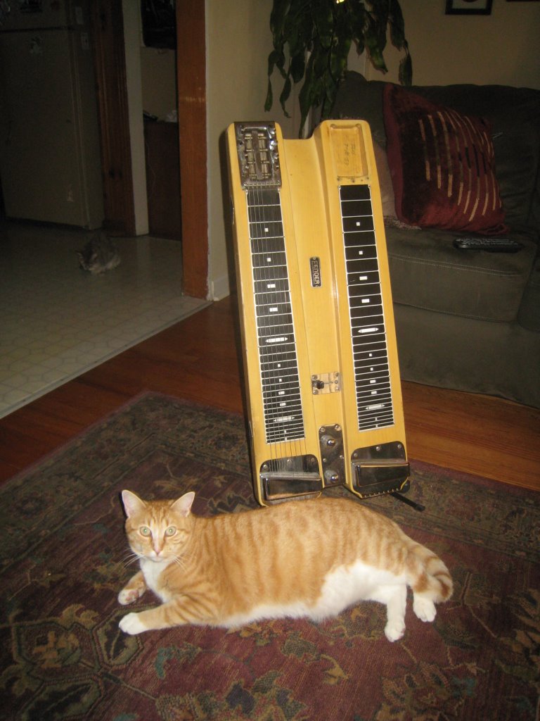 bandpic3